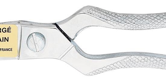SECATEUR A VOLAILLE LAME EN ACIER FORGE L-250 MM