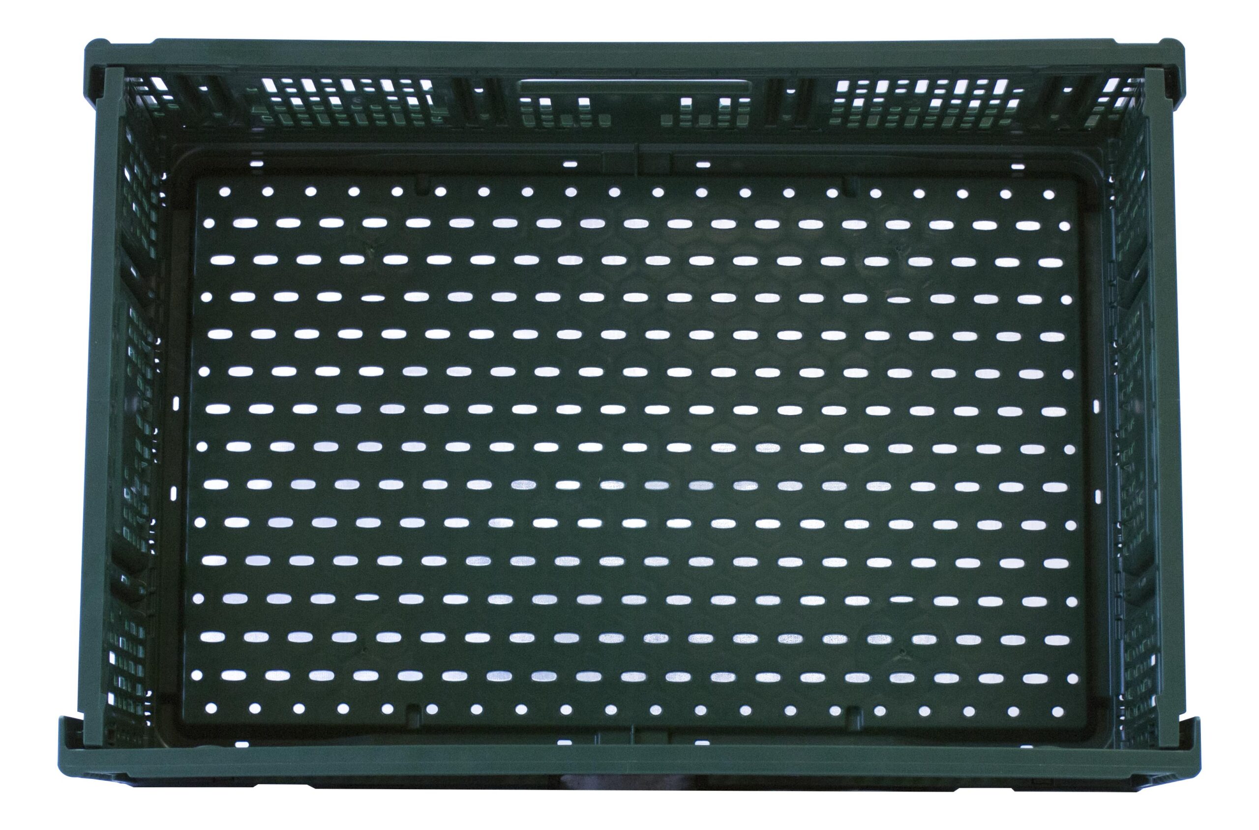 CAISSE VERTE PLIABLE POUR FRUITS ET LEGUMES, PEHD COULEUR VERTE, FOND ET PAROIS PERFORES