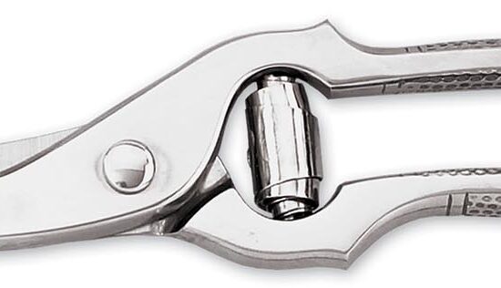 CISAILLE A VOLAILLE INOX 250MM