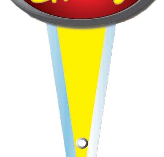 BOITE DE 10 PCS MINIFLECHE ROUGE PVC CRISTAL PRIX CHOC 85/100 MM PIQUE INOX