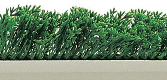 SEPARATION FEUILLAGE CYPRES SOCLE BLANC 55X750