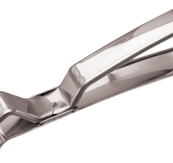 PINCE A PLAQUE A ROTIR INOX