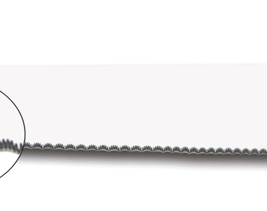 COUTEAU POISSON MICRODENTE, MANCHE BLEU L-420 MANCHE SURMOULE