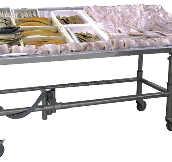 MODULE DE PRESENTATION POISSON, INOX 304, HAUTEUR ET INCLINAISON REGLABLES,