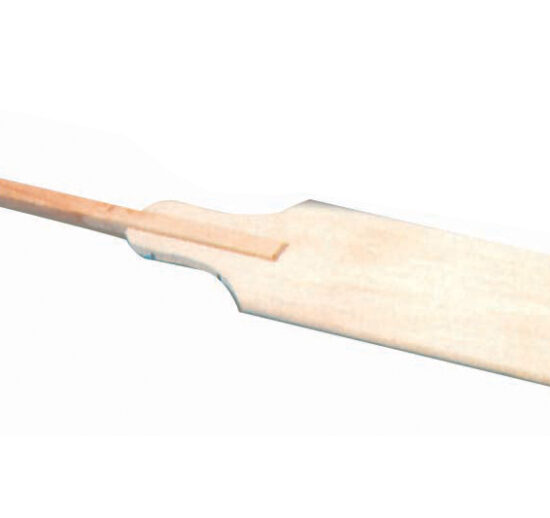 PELLE A ENFOURNER EN BOIS, PALETTE 600X200 MM MANCHE DE L-3000 MM