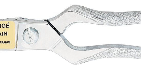 SECATEUR A VOLAILLE LAME EN ACIER FORGE L-250 MM