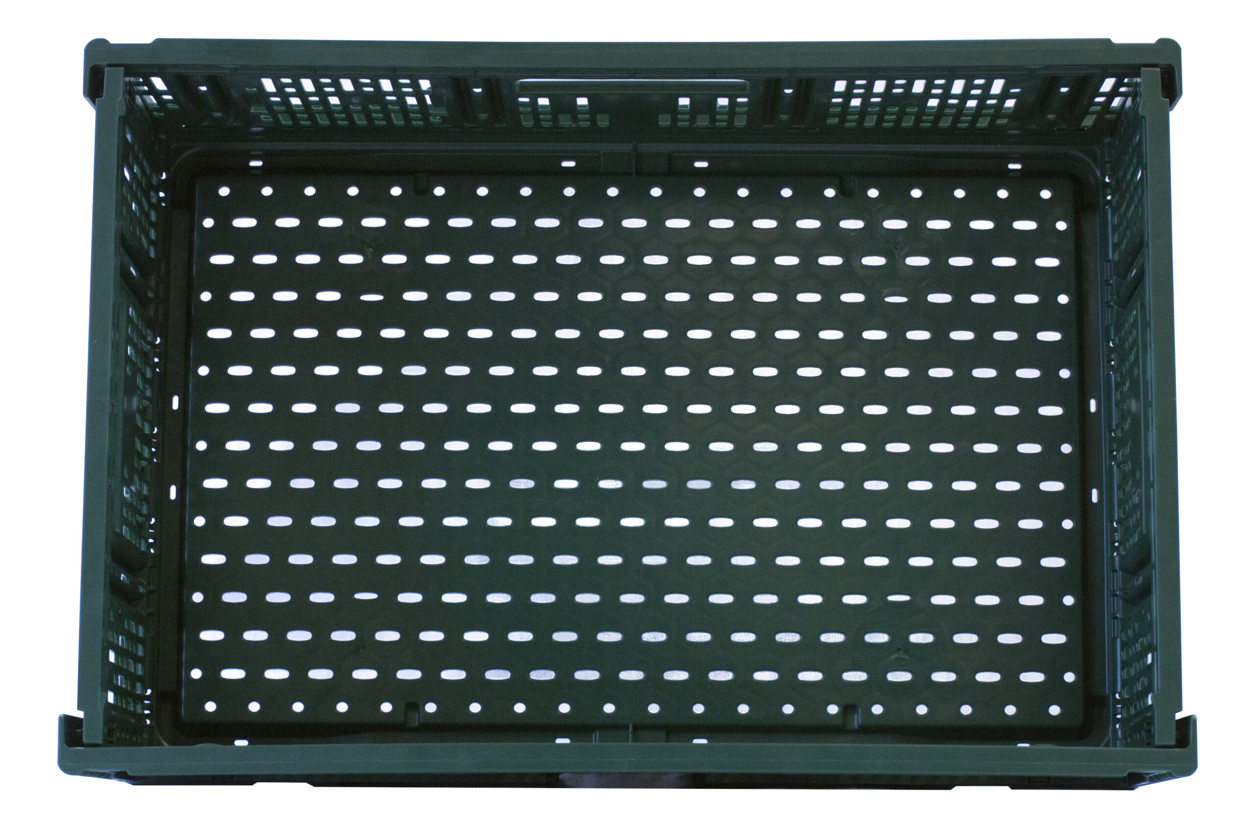 CAISSE VERTE PLIABLE POUR FRUITS ET LEGUMES, PEHD COULEUR VERTE, FOND ET PAROIS PERFORES