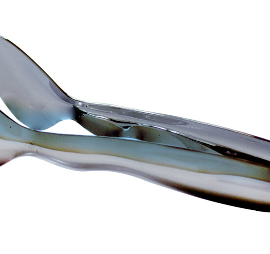 PINCE A GLACONS INOX 200 MM