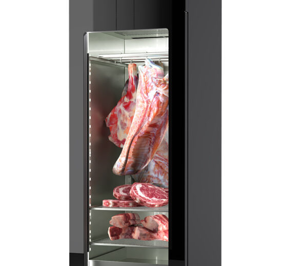 ARMOIRE REFRIGEREE DE MATURATION DE VIANDE 0/+4°C GAZ R290, P. VITREE, 2 NIV. DE STOCKAGE GN2/1