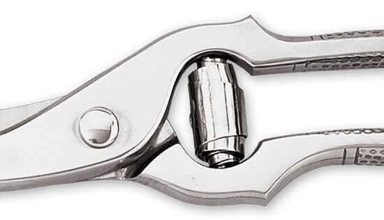 CISAILLE A VOLAILLE INOX 250MM