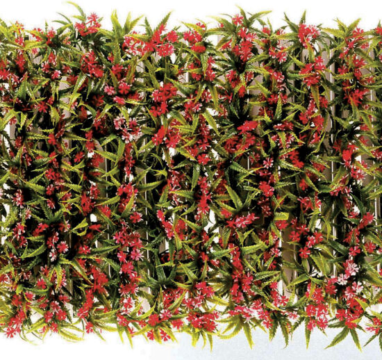 BOITE DE 12 PCS BARETTE FLEURS DES CHAMPS L-250 MM