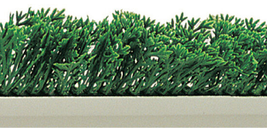 SEPARATION FEUILLAGE CYPRES SOCLE BLANC 55X750