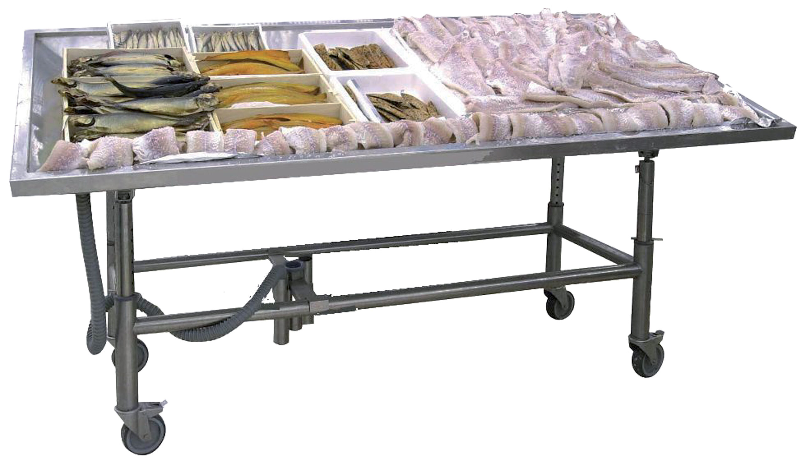 MODULE DE PRESENTATION POISSON, INOX 304, HAUTEUR ET INCLINAISON REGLABLES,
